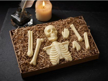 anatomie