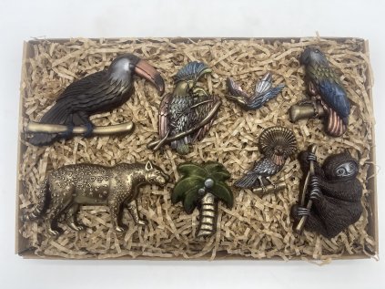 Chocolate Set – Tropical Expedition
