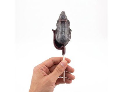 myš