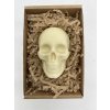 Chocolate skull
