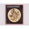 Aquarius - Chocolate zodiac sign