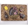 Chocolate set - Easter No. 2