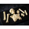 anatomie1