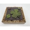 Chocolate Set - Lucky Clover