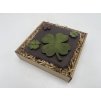 Chocolate Set - Lucky Clover
