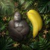 bananycoko1