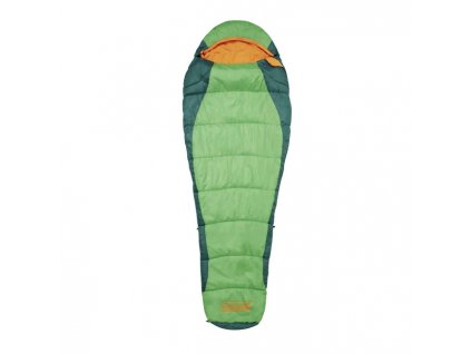 Coleman Fision 200 sleeping bag