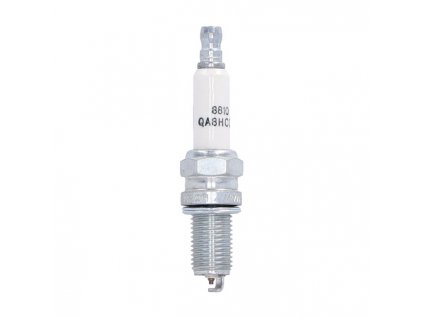 Champion, spark plug 8810