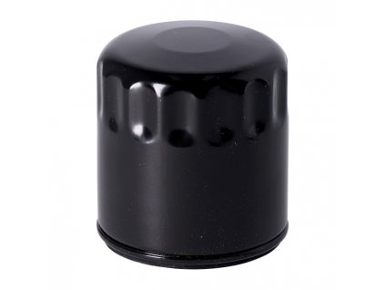 Oil filter, black