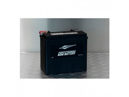 MCS, Advance Series - AGM sealed battery. 12V, 19Ah, 325CCA