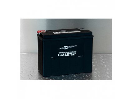 MCS, Advance Series - AGM sealed battery. 12V, 22Ah, 340CCA