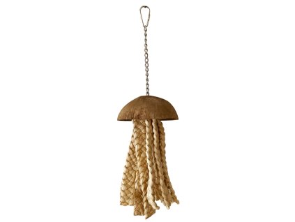 meduza