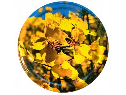 Snímka obrazovky 2025 01 20 093703