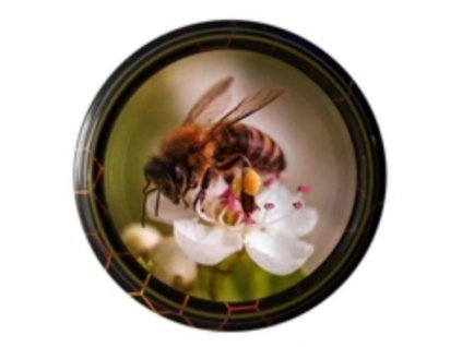 Snímka obrazovky 2025 01 20 094254