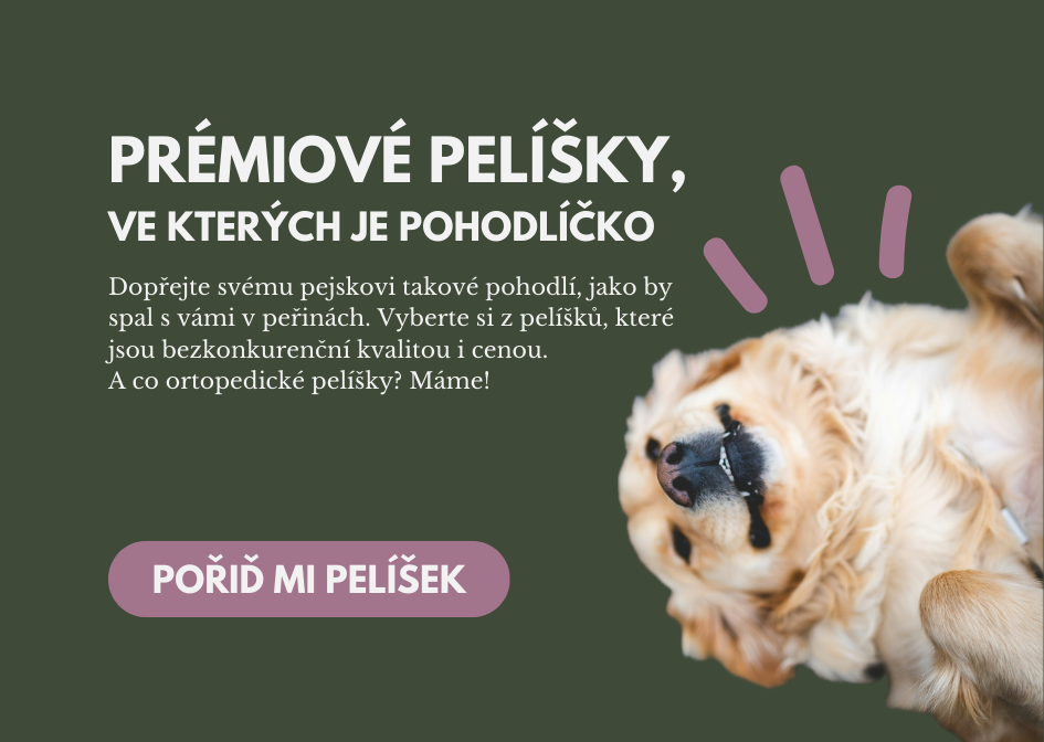 Pelíšky pro psy