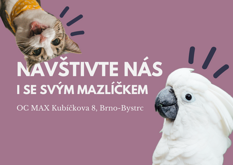 Navštivte nás
