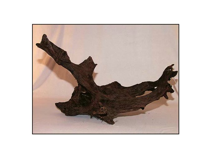Kořen Driftwood extra velký 55-100 cm
