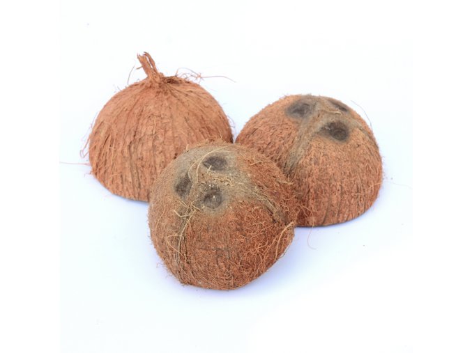 kokosova skorapka