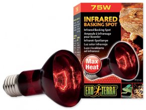 Žárovka Exo Terra Infrared Heat Glo 75W