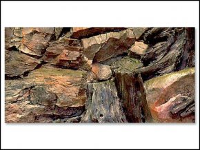 Pozadí akvarijní Root | 60 x 30 cm