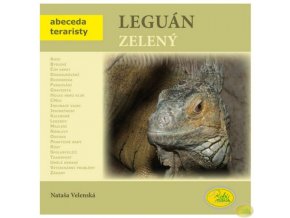 Leguán zelený - Nataša Velenská