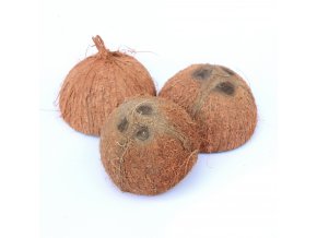 kokosova skorapka