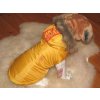 zimní oblečení pro psa