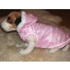 růžová bunda pro psa