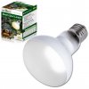 žárovka Beam Spot ReptiZoo 60W