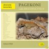 Pagekoni rodu Rhacodactylus - Lubomír Klátil