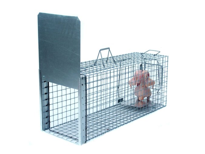 594 profesionalni odchytova past na kuny kocky male psy vydry bobry a lisky st105x34x42