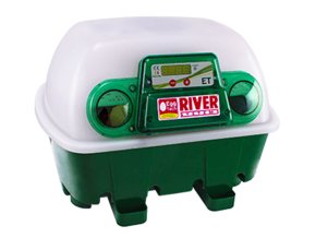 lihen na vejce river systems et 12 s dolihni drubeze 1