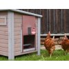 komplet automatickeho otevirani a zavirani kurniku kerbl 70590 easy protect 30x33 r ruzova 5