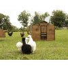 polly chalet 2xl 05