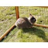Vybeh pro kraliky morcata a jine hlodavce KERBL 116x116x58cm 05
