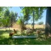 2525 1 zlabove krmitko pro slepice pozinkovane cf033 30 13x100cm