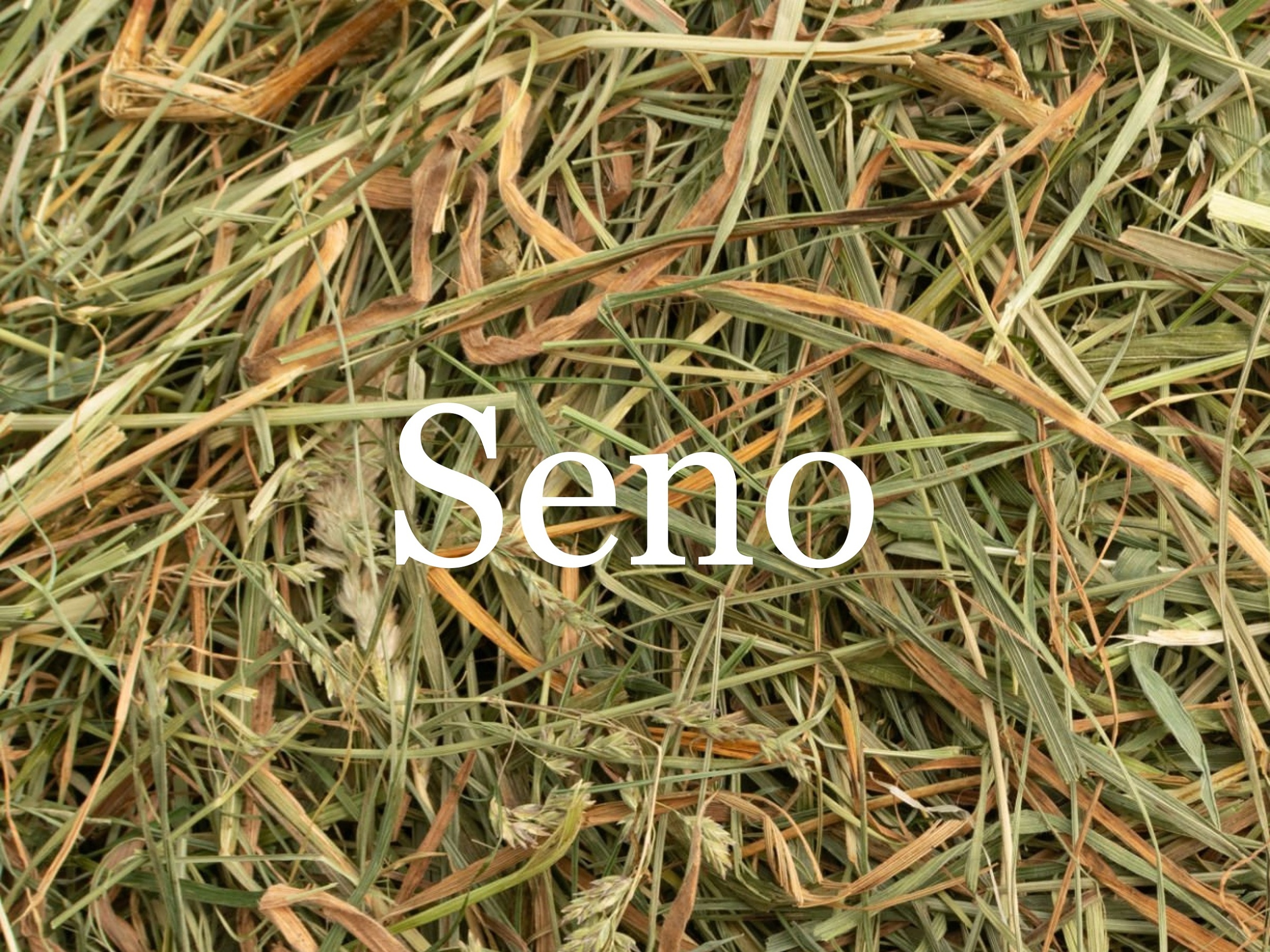 Seno