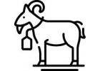 Doplňky pro chov ovcí a koz