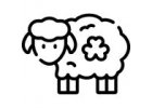 Péče o ovce a kozy