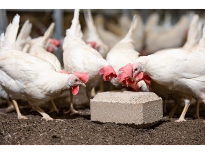 ULTRA PECK minerální klovací kámen pro drůbež