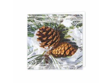 Novoročný pozdrav , mixed (Farba mixed)