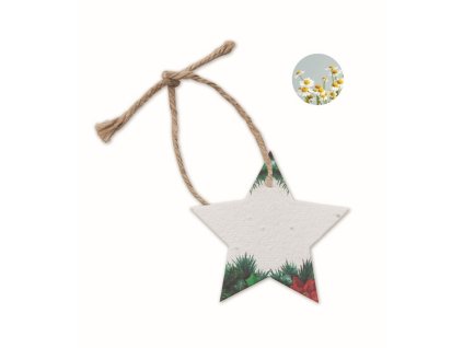 Vianočná papierová ozdoba , hviezda (Farba hviezda)