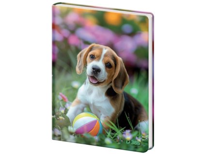 Pamätník čistý Doggie , mix (Farba mix)