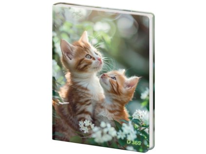 Pamätník čistý Tabby , mix (Farba mix)