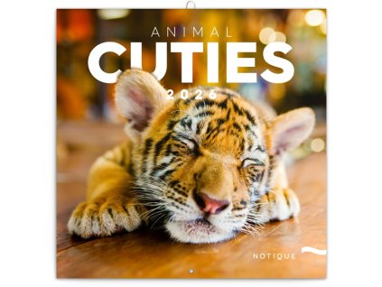 Nástenný poznámkový Mláďatá , mixed (Farba mixed)