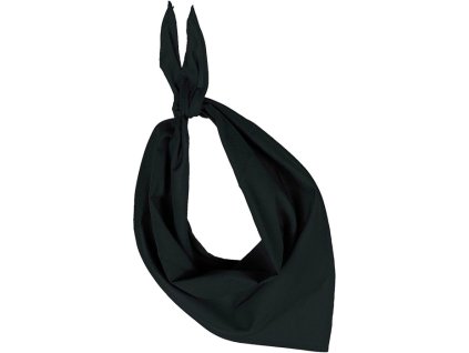 Polyesterová šatka FIESTA , Black (Farba Black)