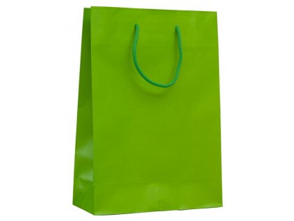 Darčeková papierová taška , light green, L