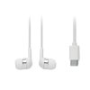 Slúchadlá v krabičke, USB-C , white (Farba white)