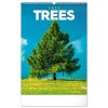 Nástenný Stromy , mixed (Farba mixed)