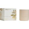 Wellmark vonná sviečka (210 g) , Ecru (Farba Ecru)